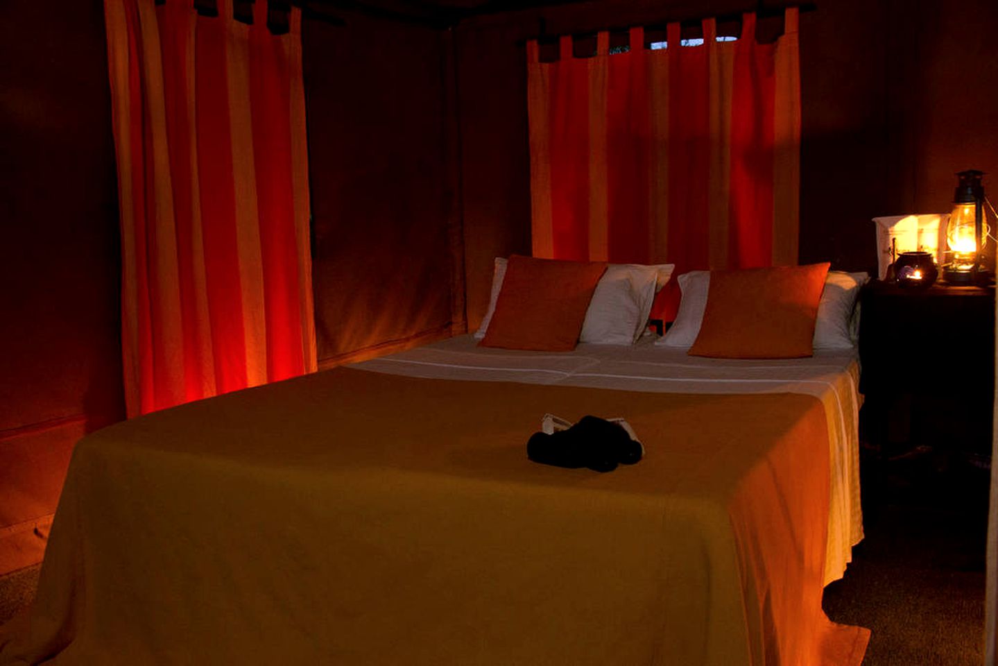 Expansive Safari Tent Accommodation in Wilpattu National Park, Sri Lanka