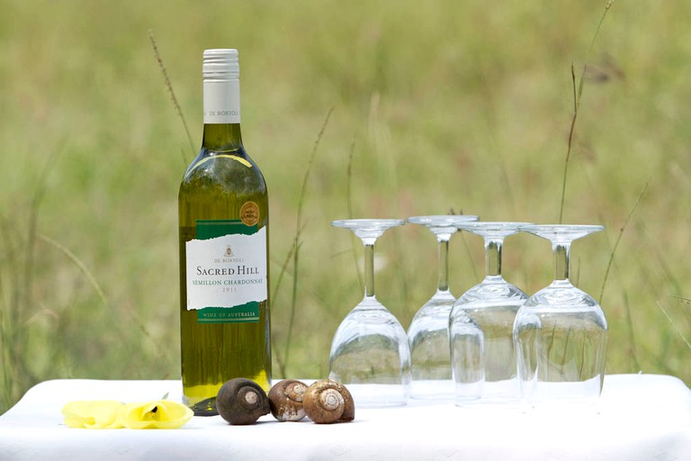 Safari Tents (Anuradhapura, North Central Province, Sri Lanka)