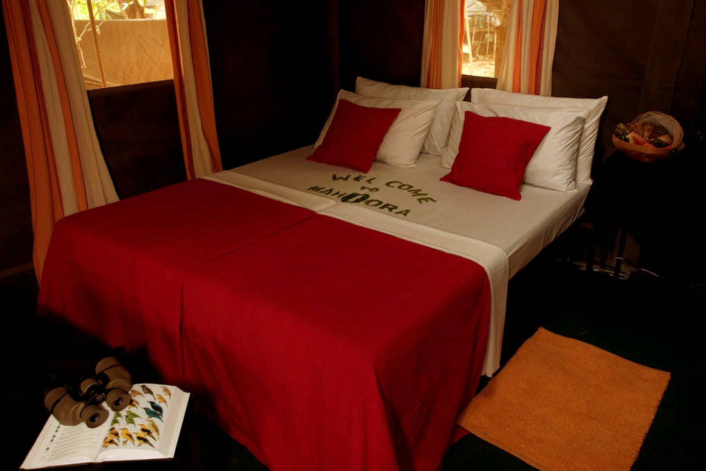 Expansive Safari Tent Accommodation in Wilpattu National Park, Sri Lanka