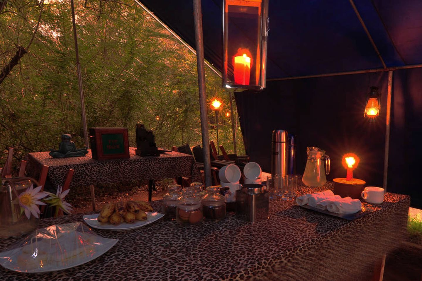 Expansive Safari Tent Accommodation in Wilpattu National Park, Sri Lanka