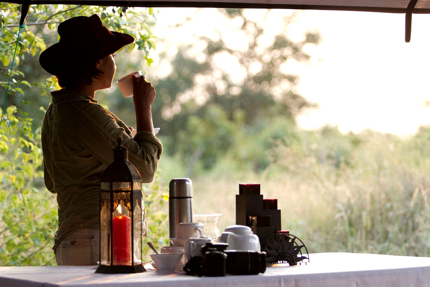 Expansive Safari Tent Accommodation in Wilpattu National Park, Sri Lanka