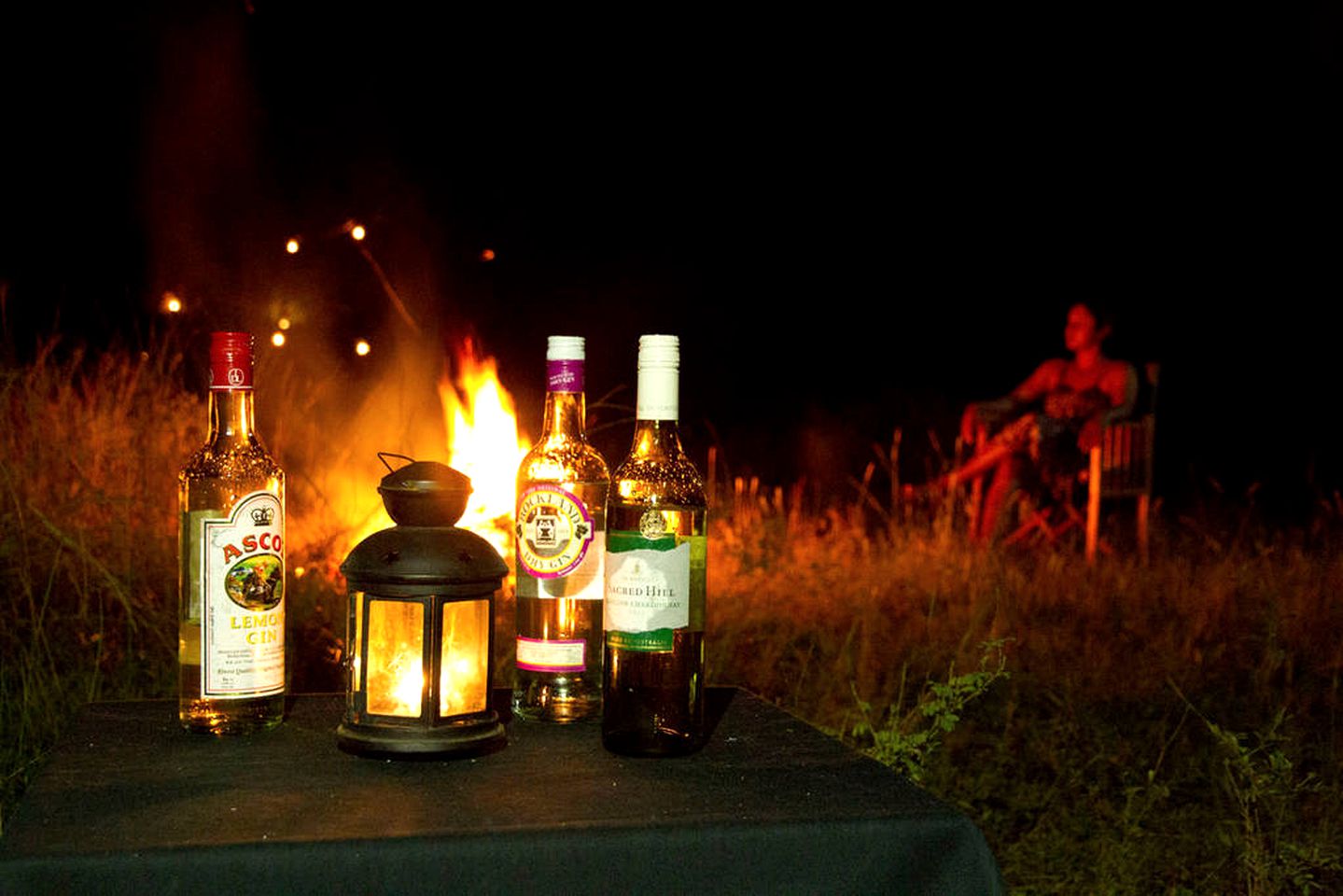 Expansive Safari Tent Accommodation in Wilpattu National Park, Sri Lanka