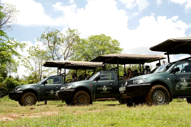 Safari Tents (Anuradhapura, North Central Province, Sri Lanka)