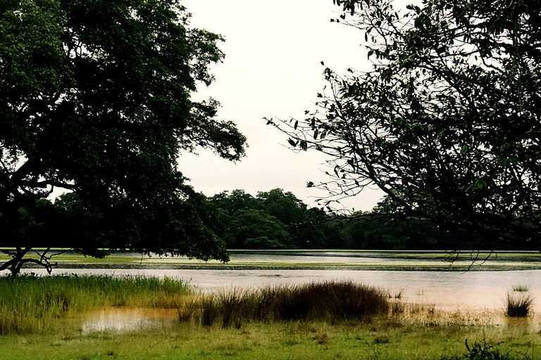 Safari Tents (Anuradhapura, North Central Province, Sri Lanka)