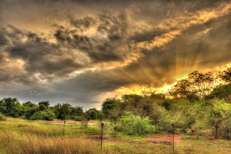 Safari Tents (Anuradhapura, North Central Province, Sri Lanka)
