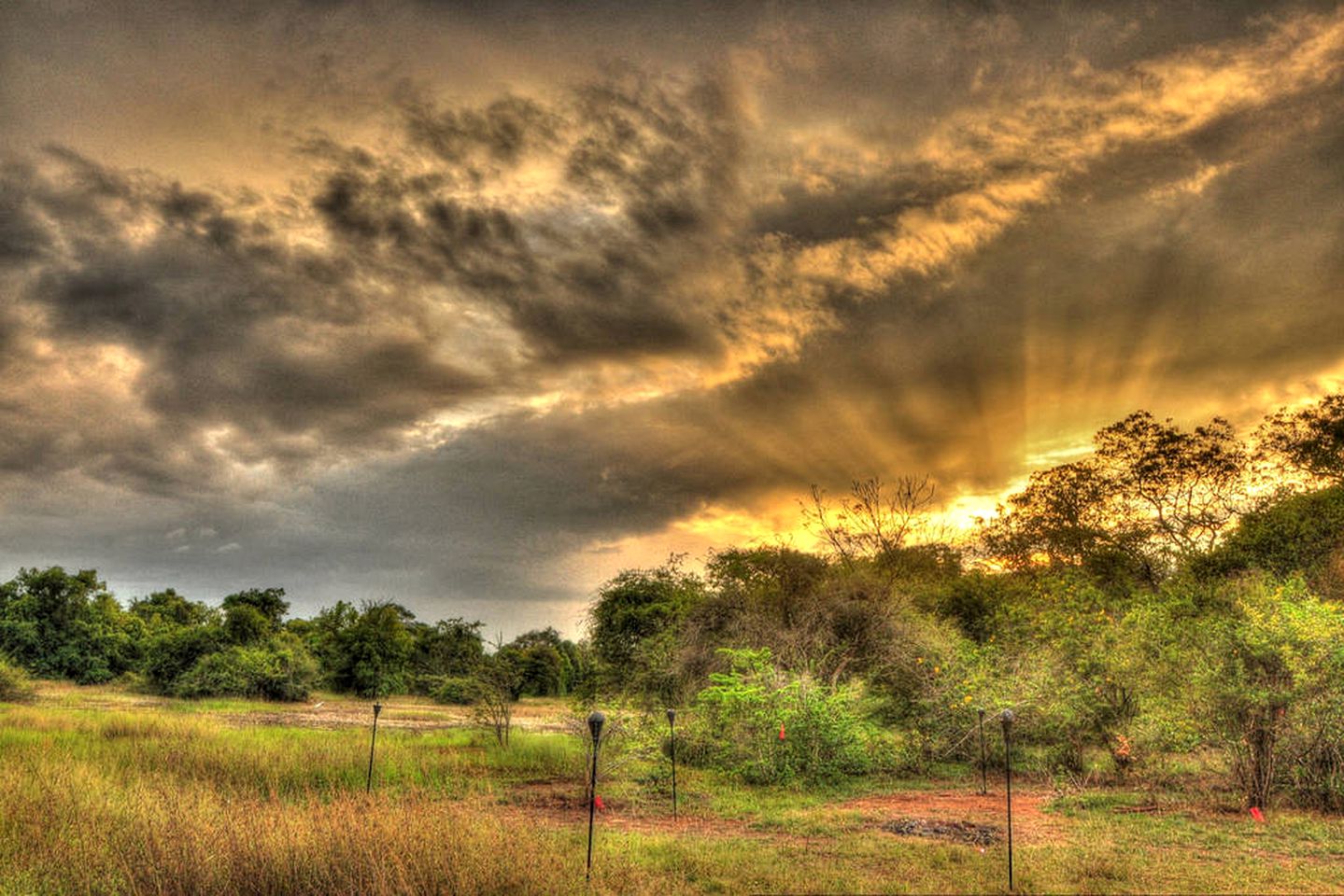 Expansive Safari Tent Accommodation in Wilpattu National Park, Sri Lanka