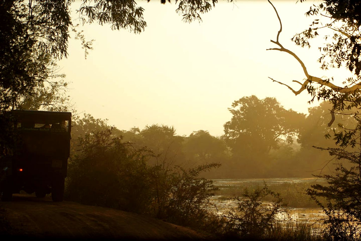 Deluxe Tent Getaway with Rainforest Views in Yala National Park, Sri Lanka