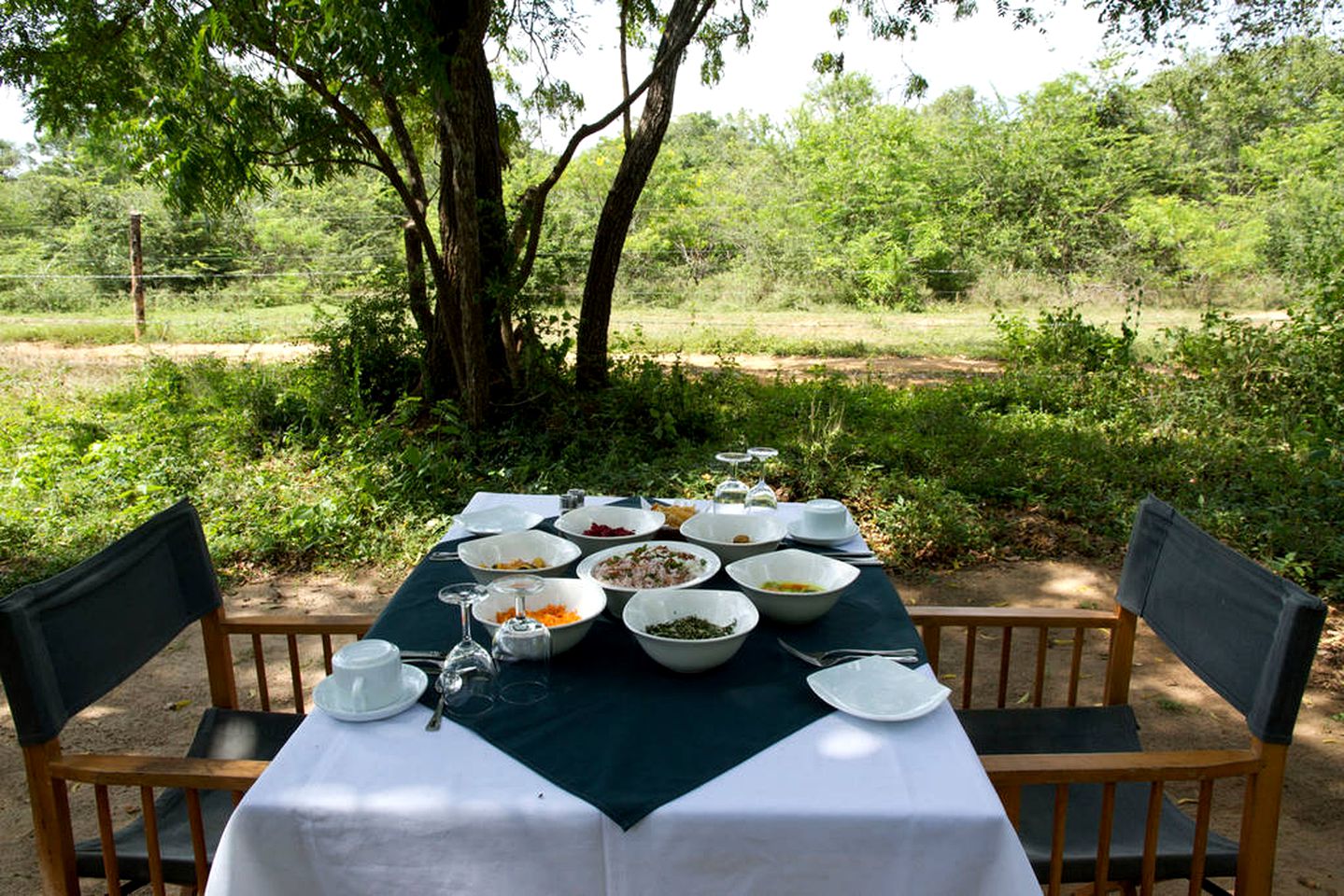 Deluxe Tent Getaway with Rainforest Views in Yala National Park, Sri Lanka