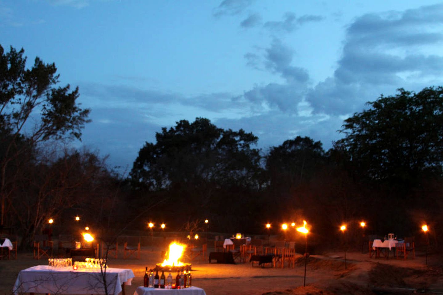 Safari Tent with Lush Forest Views In Yala National Park, Sri Lanka