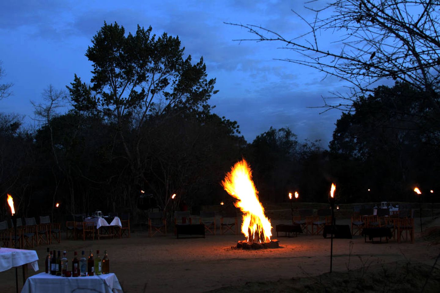 Safari Tent with Lush Forest Views In Yala National Park, Sri Lanka