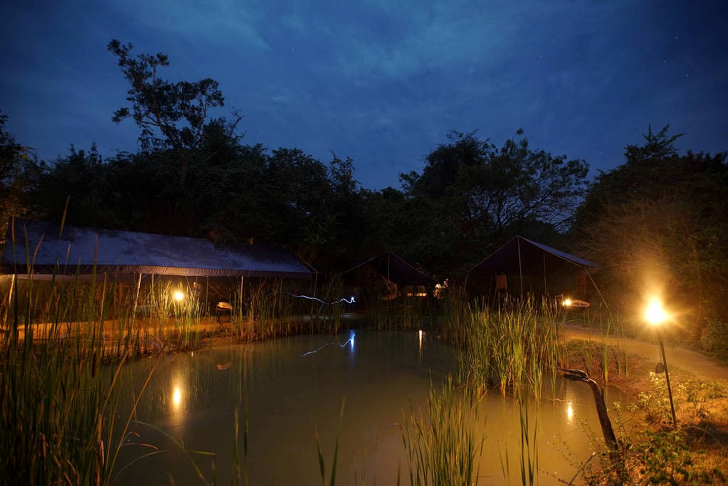 Safari Tent with Lush Forest Views In Yala National Park, Sri Lanka