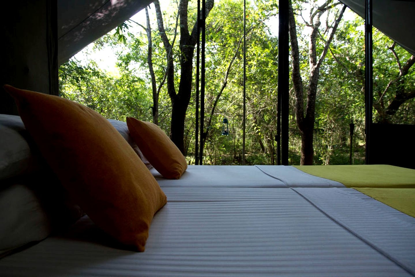 Spacious Safari Tent for a Rainforest Vacation in Ratnapura, Sri Lanka