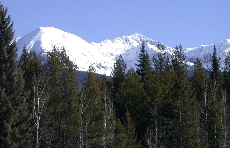 Cabins (Condon, Montana, United States)