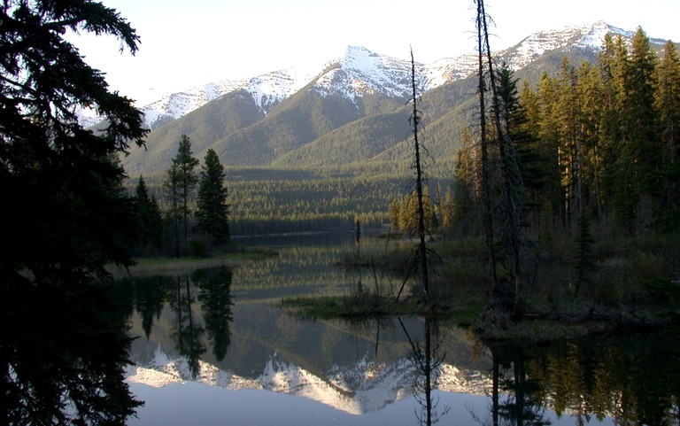 Cabins (Condon, Montana, United States)