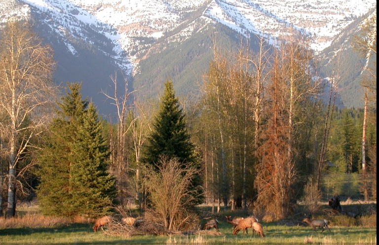 Cabins (Condon, Montana, United States)