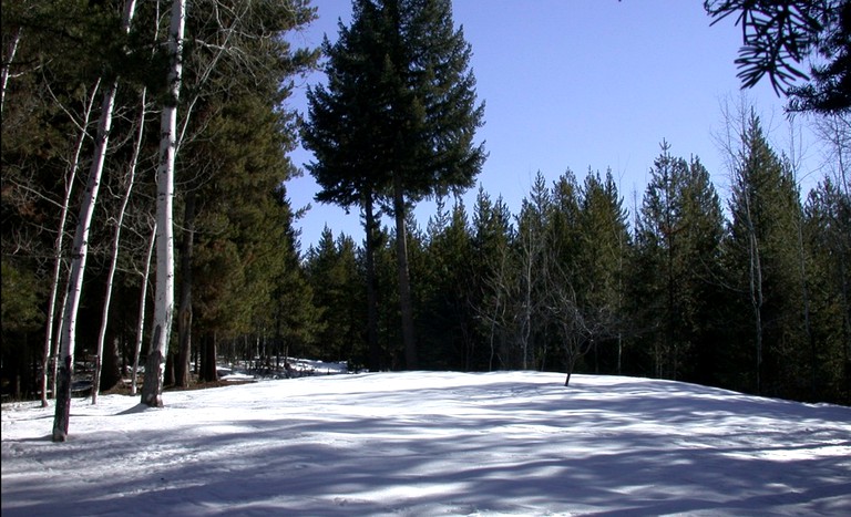 Cabins (Condon, Montana, United States)