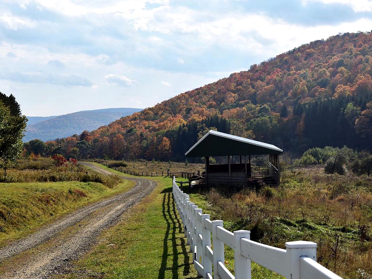 Charming Cabin on 1,000-Acre Farm in Westfield, Pennsylvania