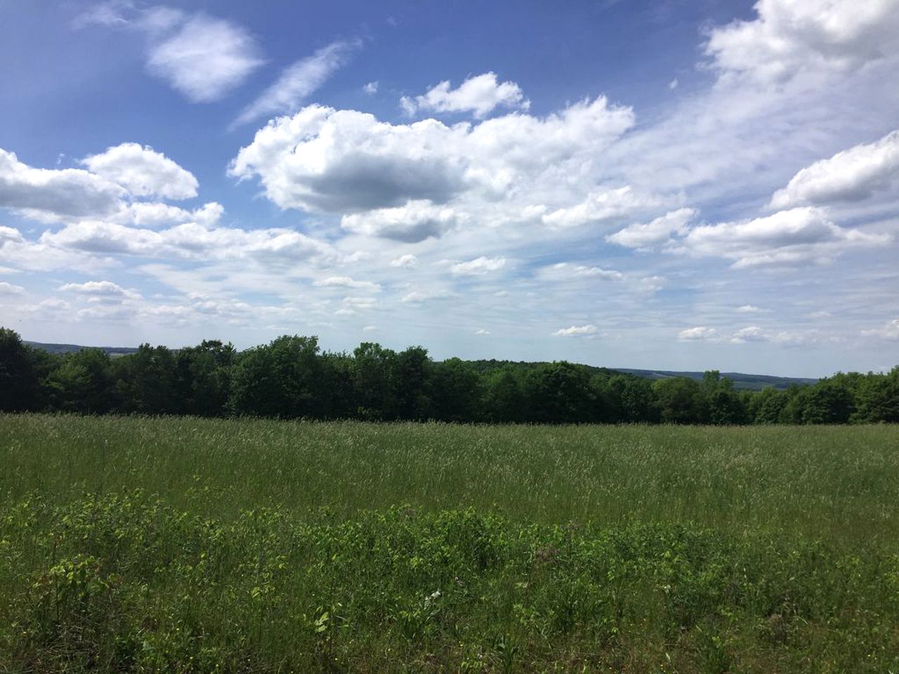 Charming Cabin on 1,000-Acre Farm in Westfield, Pennsylvania