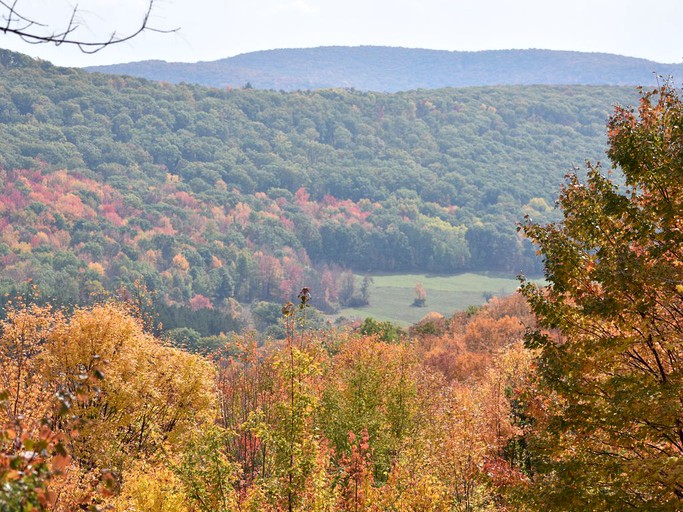 The Farm at Jordan Hollow, Cabins, Westfield, United States of America