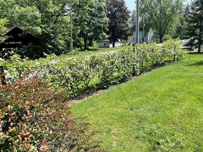 Cottages (United States of America, Penn Yan, New York)