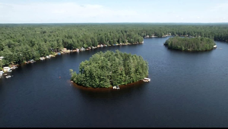 Vacation Rentals (United States of America, --, New York)