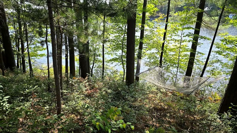 Vacation Rentals (United States of America, --, New York)