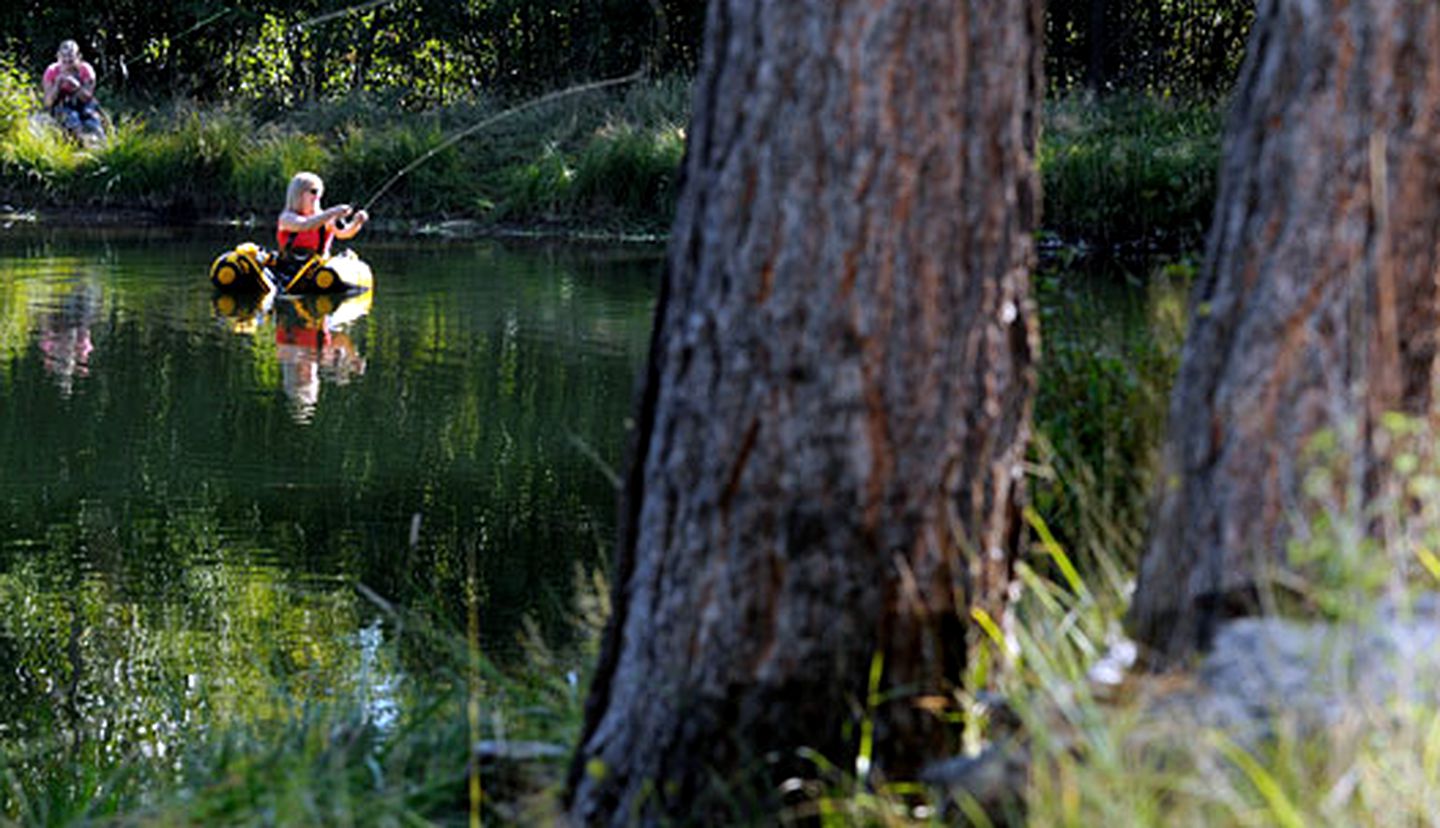 All-Inclusive Two-Story Ranch Cabin on the Banks of Antelope Lake, Northern California