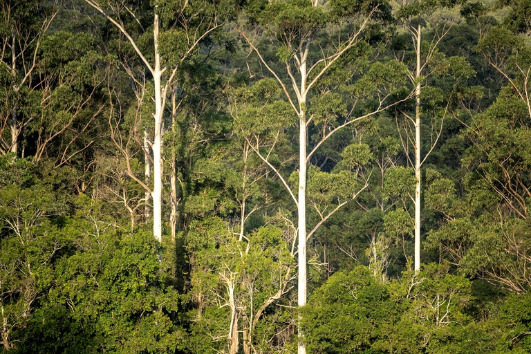 Tiny Houses (Australia, Boolambayte, New South Wales)
