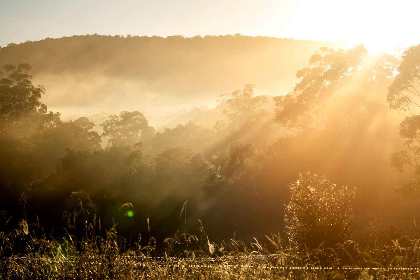 Tranquil Tiny House Retreat with Mountain Views near Bulahdelah, Barrington Coast NSW