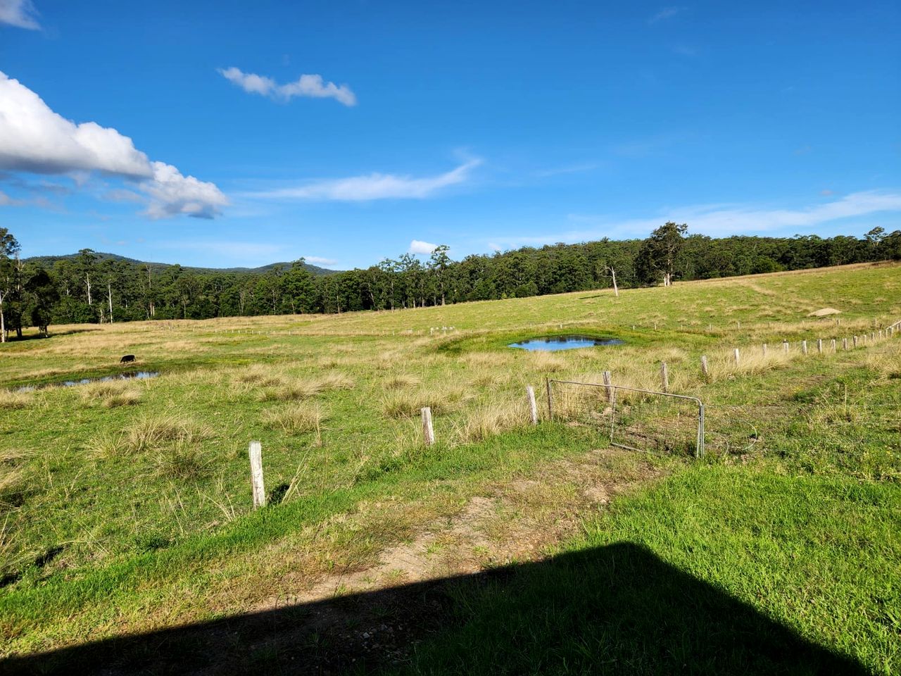 Tranquil Tiny House Retreat with Mountain Views near Bulahdelah, Barrington Coast NSW