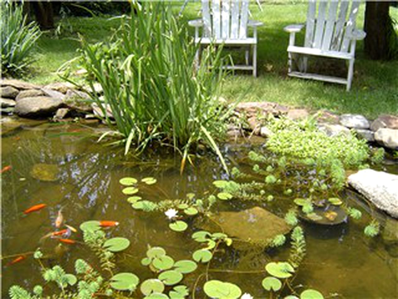 Cozy Bed and Breakfast Suite near Smith Mountain Lake in Bedford, Virginia