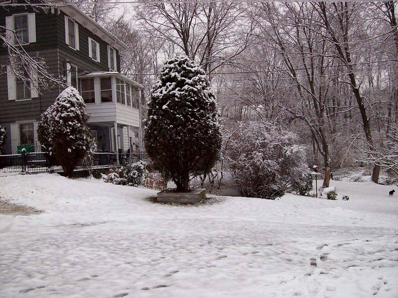 Spacious Cottage Rental with Creek Views near Harrisburg and Hershey, Pennsylvania