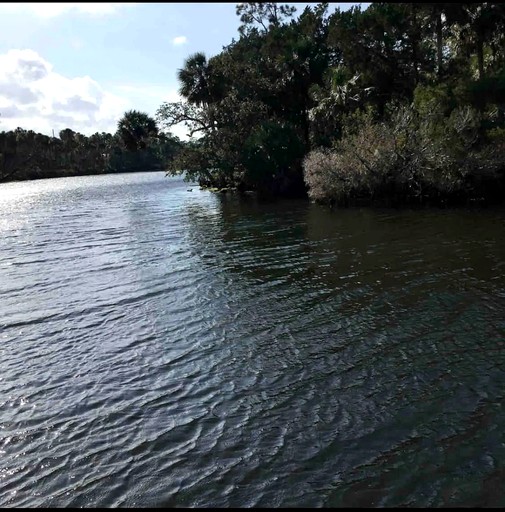Caravans (United States of America, Weeki Wachee, Florida)