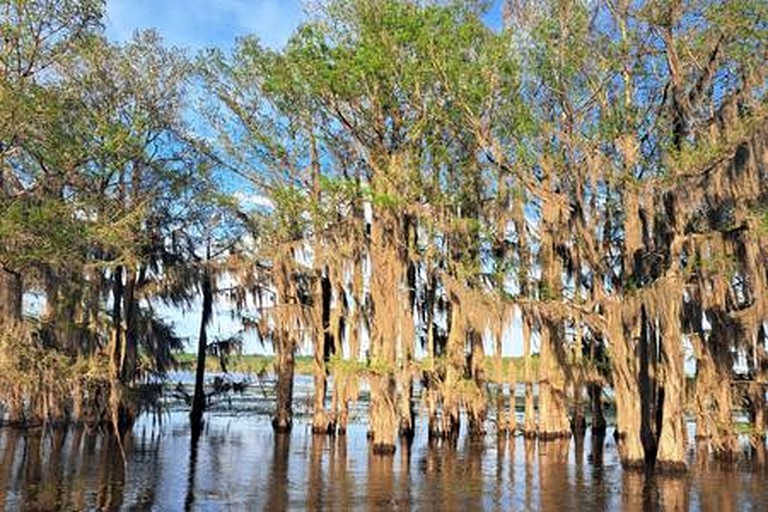 Vacation Rentals (United States of America, Karnack, Texas)