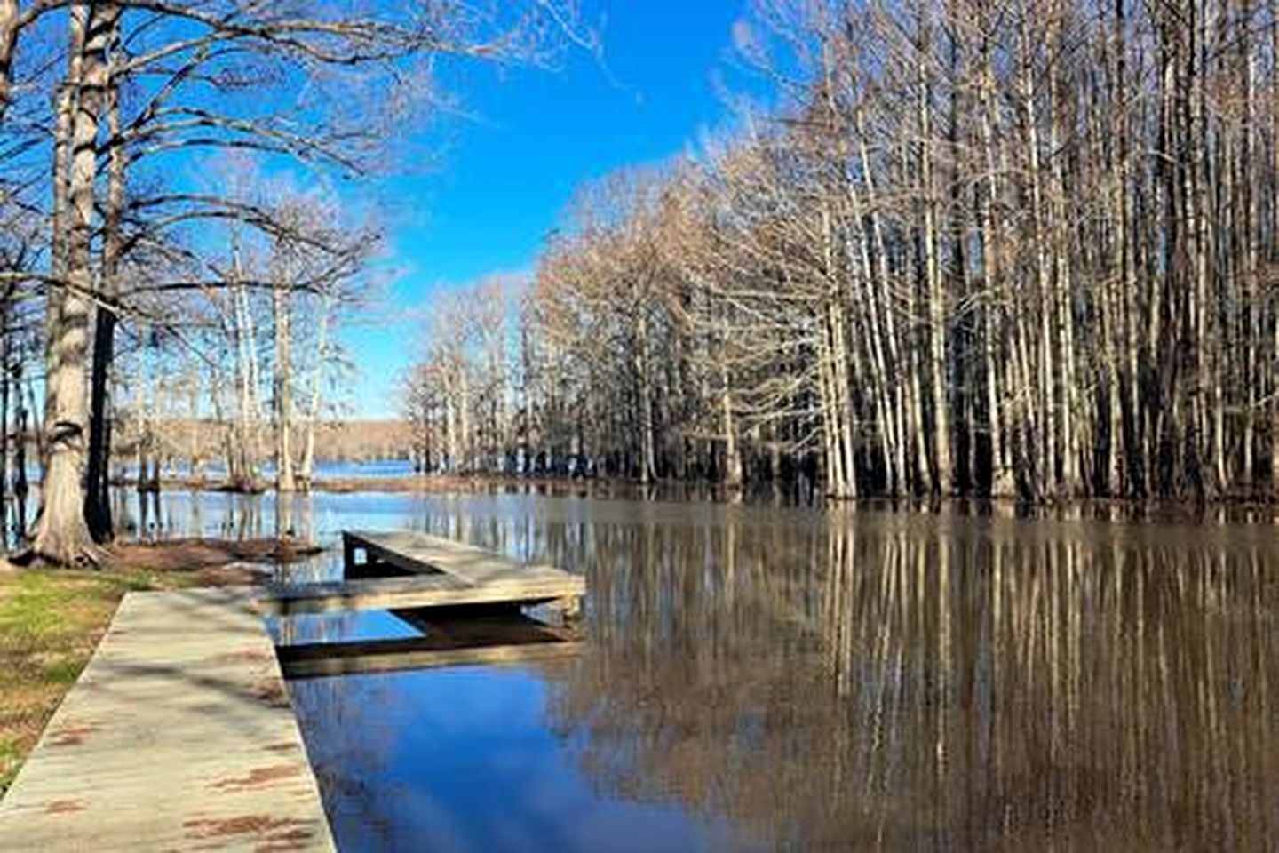 The Gator Den at Caddo Lake in Karnack, Texas