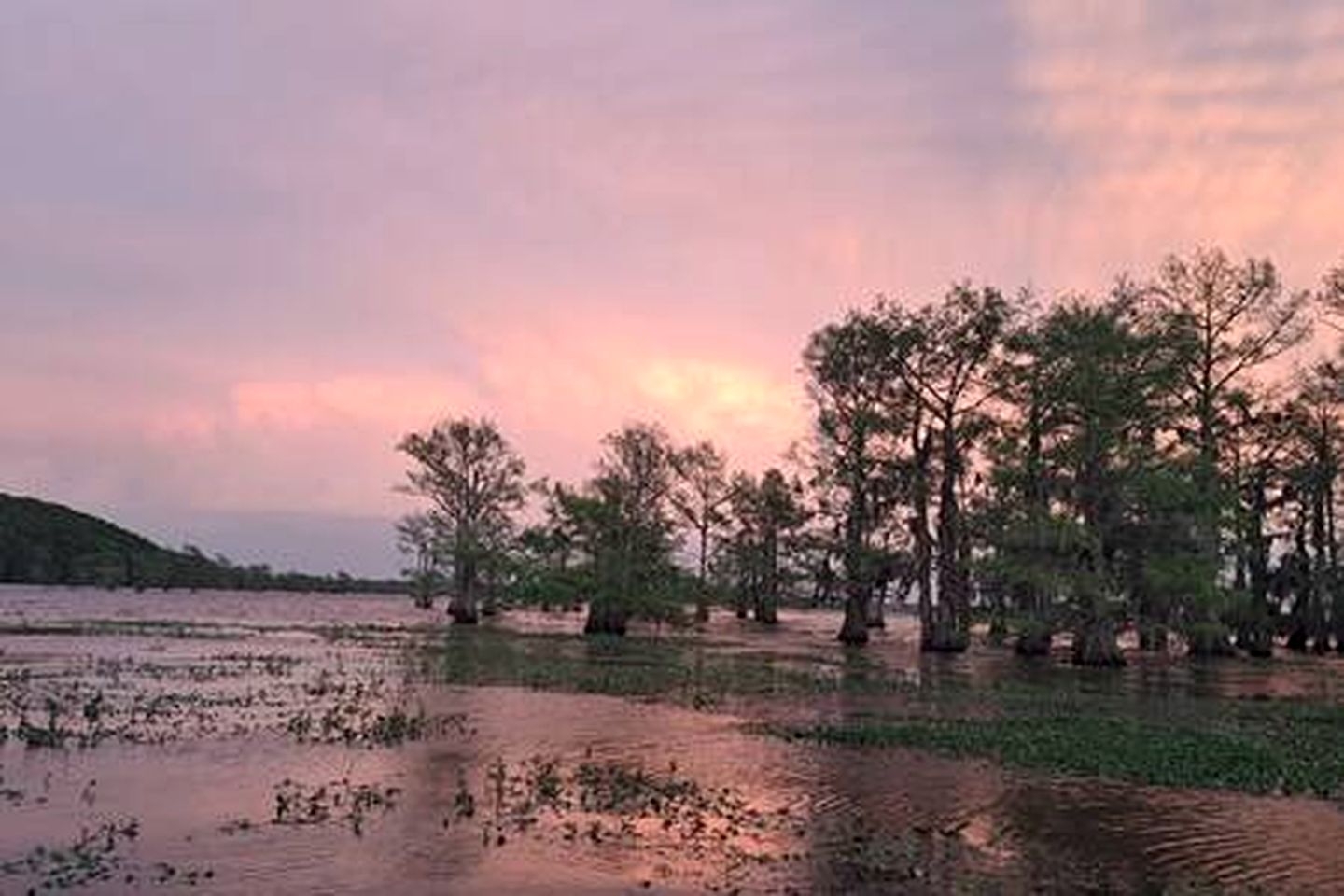 The Gator Den at Caddo Lake in Karnack, Texas