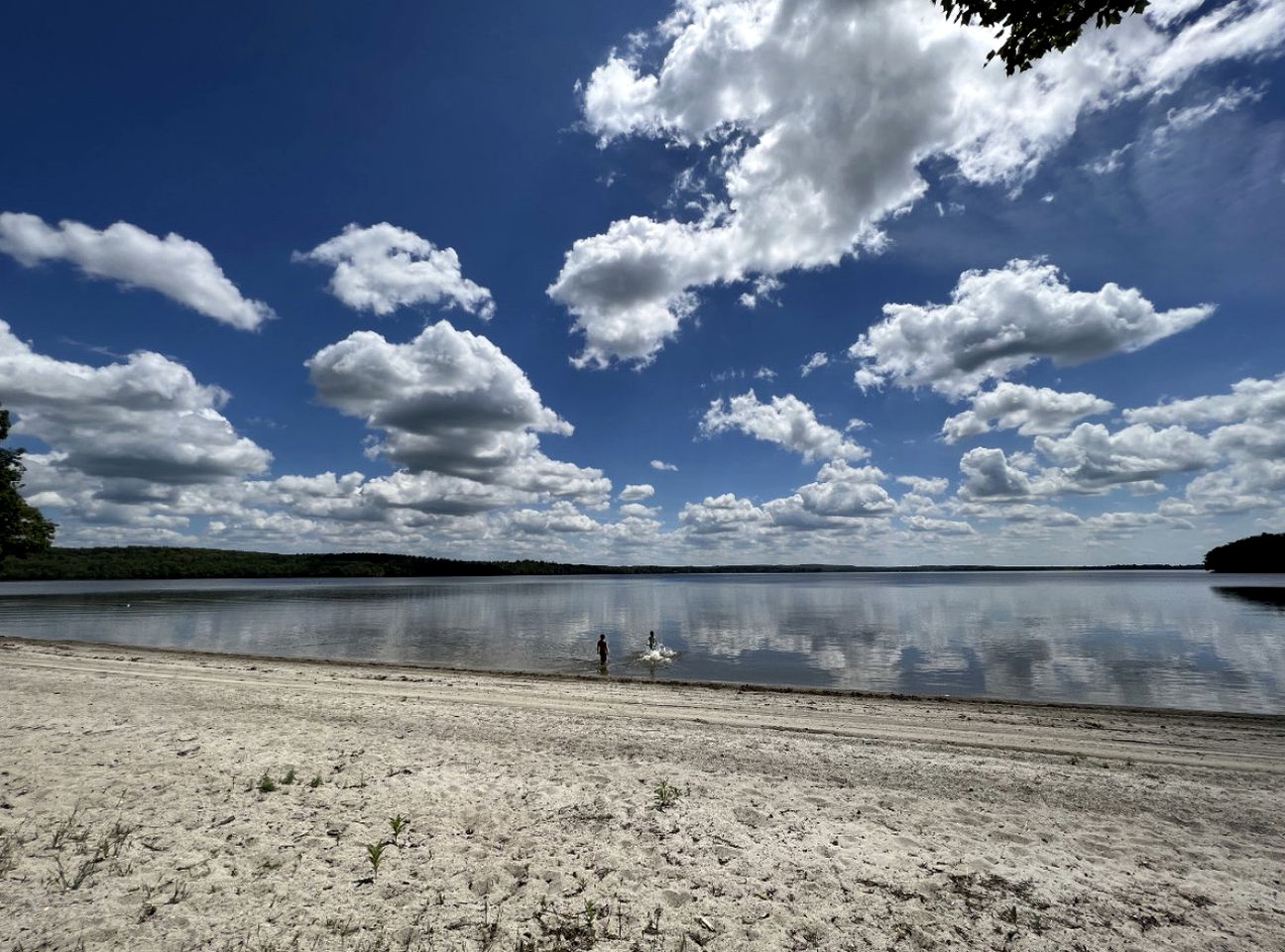 Charming Lakefront Cabin with Beach Access, Firepit & Kayaks in Burnham, Maine