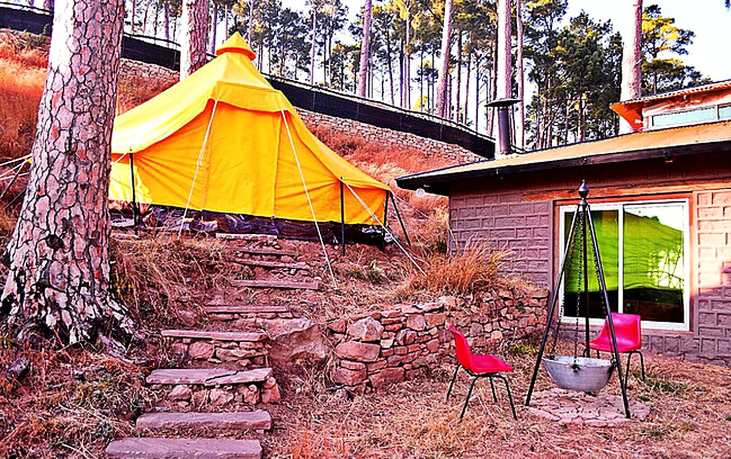 Cozy Bell Tent Rental Tucked in the Forest near Murree, Pakistan