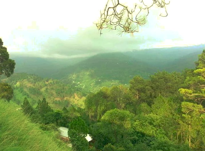 Cottages (Murree, Punjab, Pakistan)