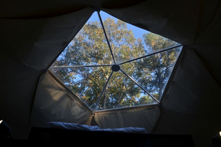 Domes (United States of America, Traphill, North Carolina)