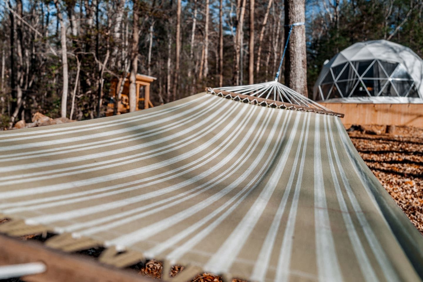 Unplug and Unwind in a Modern Dome with Firelight Evenings and Starry Skies in Traphill, North Carolina