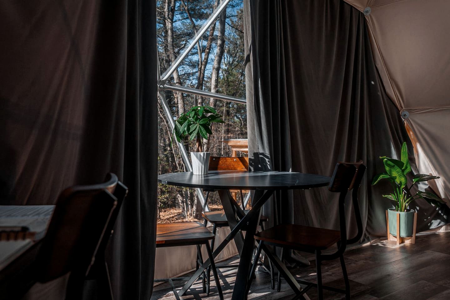 Unplug and Unwind in a Modern Dome with Firelight Evenings and Starry Skies in Traphill, North Carolina