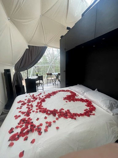 Domes (United States of America, Traphill, North Carolina)