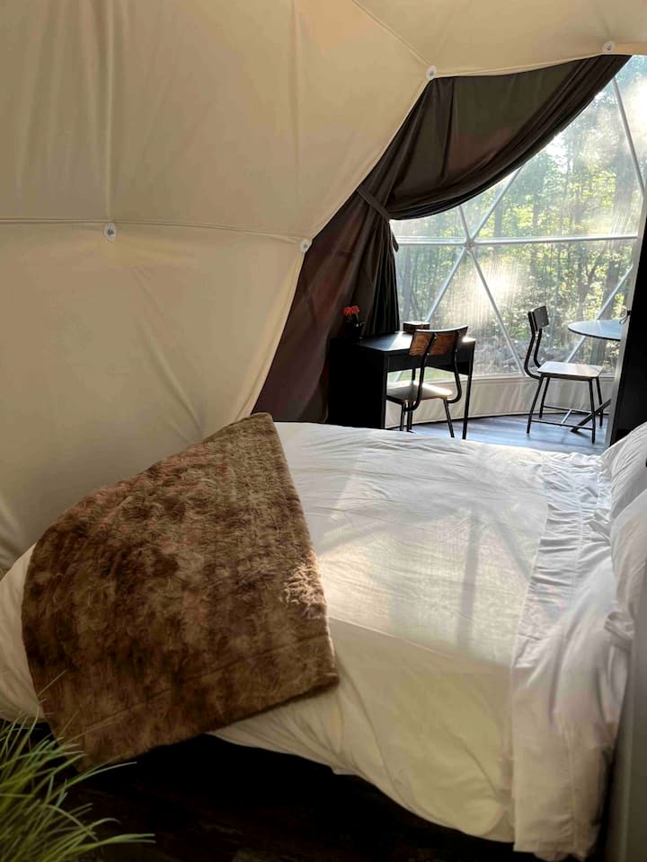 Unplug and Unwind in a Modern Dome with Firelight Evenings and Starry Skies in Traphill, North Carolina