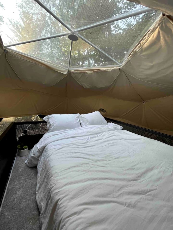 Unplug and Unwind in a Modern Dome with Firelight Evenings and Starry Skies in Traphill, North Carolina