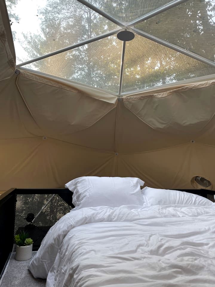 Unplug and Unwind in a Modern Dome with Firelight Evenings and Starry Skies in Traphill, North Carolina