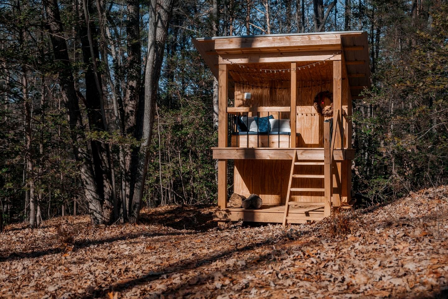 Unplug and Unwind in a Modern Dome with Firelight Evenings and Starry Skies in Traphill, North Carolina