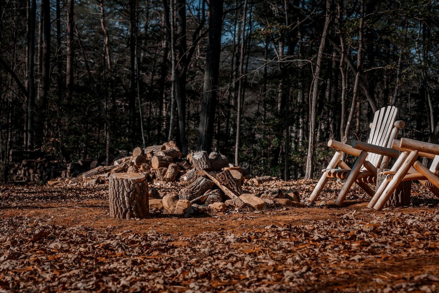 Unplug and Unwind in a Modern Dome with Firelight Evenings and Starry Skies in Traphill, North Carolina