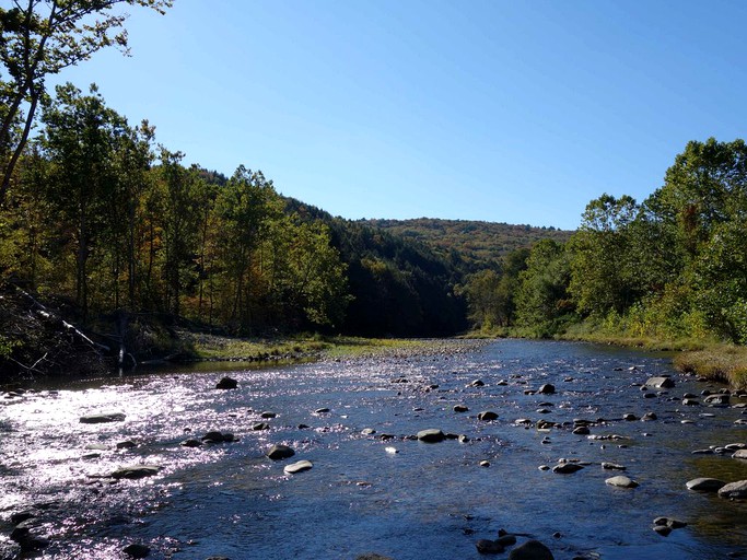 Cabins (Chesterfield, Massachusetts, United States)