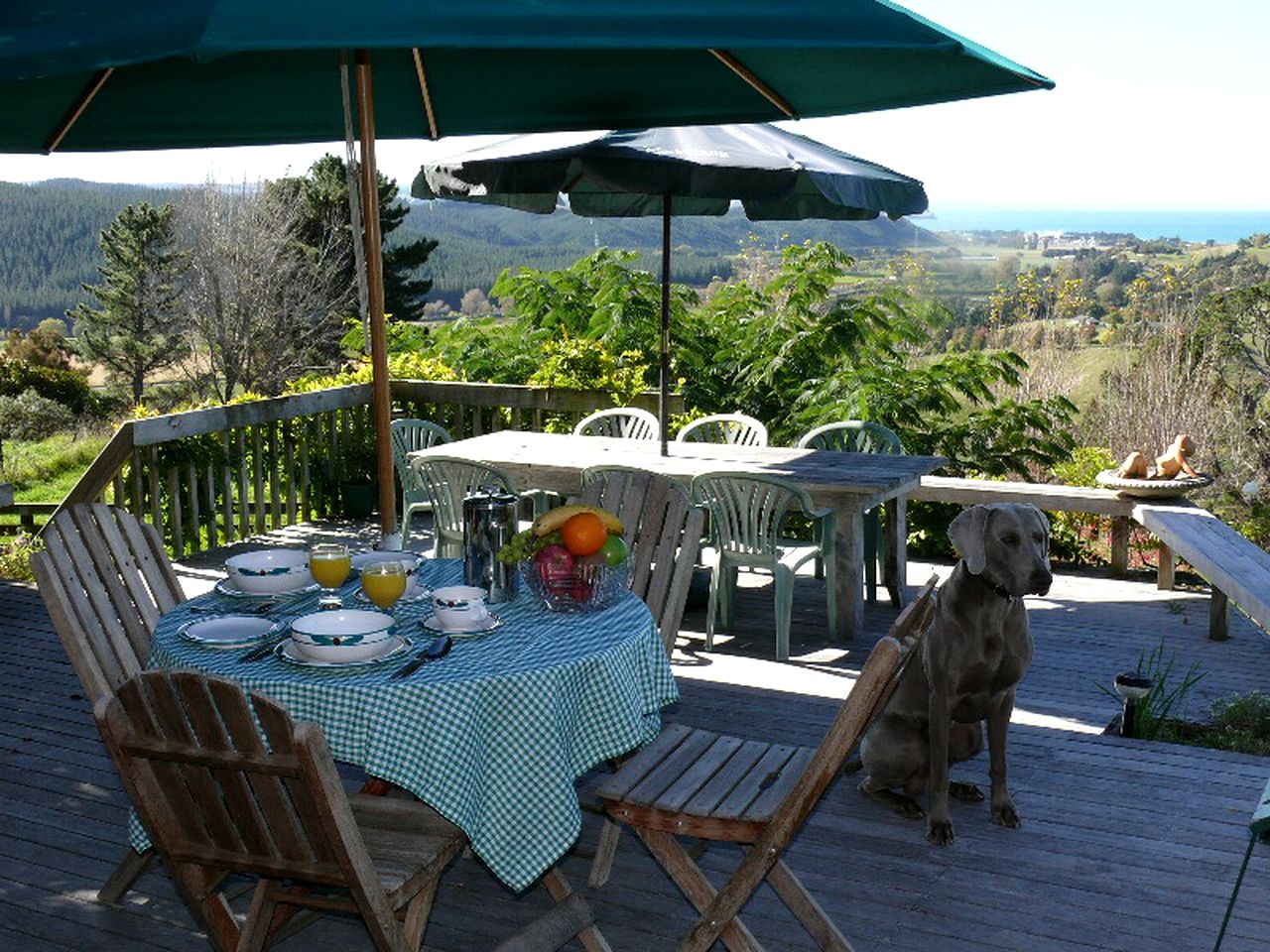 Spacious Vacation Rental with Spectacular Views near Eskdale in Hawke's Bay, New Zealand